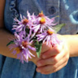 Meet your Posher, Mary-ann